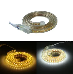 120leds / m 50m SMD 3014 LED STRIP 220V Luces Tiras LED 220V 240V Vattentät Lätta Power Plug Fri frakt