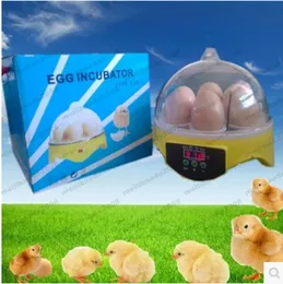 Freeshipping 7 Instrumenty temperatury Mini Inkubator Egg Incubator Drób Ptak Pet Hatcher Cyfrowy Clear Temperature Control Myy