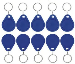 Fabrikspris gör högkvalitativt tk4100 125khz nyckelkort 100pcs / lot iso11785 abs rfid custom unika plast klassiska nyckel dörrfob
