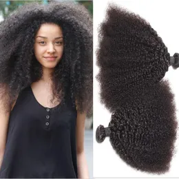 Mongolian Afro Kinky Curly Virgin Hair Kinky Curly Hair Weaves Human Hair Extension Natural Color Double Wefts Dyedable