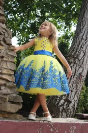 Lace Flower Girls Dresses Hot Sale with Knee Length and Lace Up Back Cute Girls Birthday Wedding Party Holiday Bridesmaid Gowns