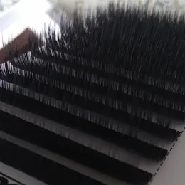 Smart Volume Eyelash Extensions Blandade Lash Ögonfransar 3D-9D 12 Rader / Fack 0,07 YouCoolash Factory Big Volume Fans Promotion