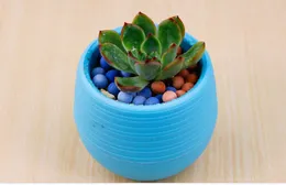 DHL Colorful Plant Pot Plastic Round Sucuulent Plant Pot Home Office Desktop Garden Deco Garden Pots Gardening Tool