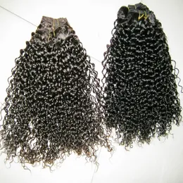 Próbka Bouncy Kinky Curly Indiantemple Human Hair 2 sztuk / partia 200g Grube wiązki Wefts bajecznie Afryki Kędzierzawy Top 7a