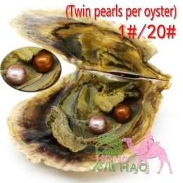 Bliźniacy Oster Pack 6-7mm4a okrągłe perłowe ostrygi barwione Edison Freshwater Pearls pięknie zaprezentowane w Oyster Shell