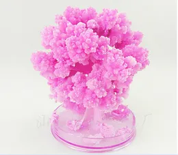 iWish Visual 2017 Artificial Magical Japanese Sakura Paper Trees Christmas Growing Tree Desktop Cherry Blossom Magic Kids Science Toys 10PCS