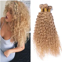 Strawberry Blonde Afro Kinky Curly Human Hair Weave Virgin Malaysian Hair Weft Bundles 27 Afro Kinky Curly Blonde Hair Extensions 3Pcs/lot