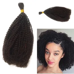Afro kinky lockigt bulk mänskligt hår för svarta kvinnor indisk mänsklig flätning bulk hår 1 bit fdshine