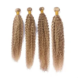 # 27/613 piano färg brasilianska mänskliga hår vävningar förlängningar kinky curly 4pcs markera blandade piano färg jungfruliga hårbuntar