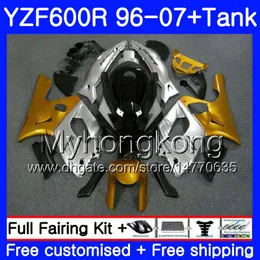 YAMAHA YZF600R Thundercat için Vücut + Tankı 02 03 04 05 06 07 229HM.50 YZF 600R Altın gümüş YZF-600R 2002 2003 2004 2005 2006 2007 Fairing