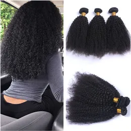 Cheap Peruvian Virgin Human Hair Afro Kinky Curly Weave Bundles 3Pcs Natural Color Bundle Deals Afro Curly Human Hair Wefts Extensions