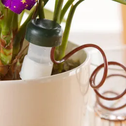 2st vattenpaket Automatisk vattenanordning Houseplant Flower Drip System Sprinkler Bevattning Ny ankomst