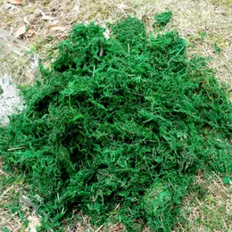 Natural 50g-100g bag dry real green moss decorative plants vase artificial turf silk Flower accessories for flowerpot decoration