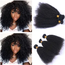 Afro verworren Cury peruanische Haarverlängerungen natürliche Farben Doppel Wefted 3Bundles Afro Curly Jungfrau Remy Menschenhaar Weben 10-30"