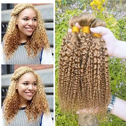 Brasiliansk Kinky Curly Virgin Hair Weave Färgad 27 # Mänsklig Hår 3 Bundlar Topp som säljer brasilianska Virgin Mänskliga hårvävtillägg
