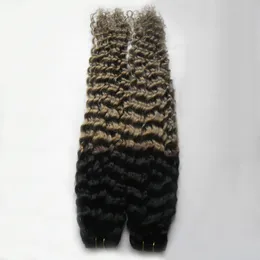 Grey Ombre Weave Peruvian Kinky curly Hair Bundles Human Hair Bundles Remy Human Hair Extensions 2 Piece Double Weft