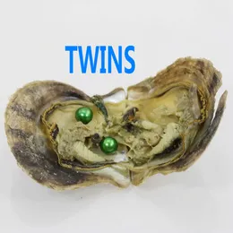 ROUND 7-6MM Twins Pearl Akoya Oysters Akoya Oyster con Colouful Perle Gioielli REGALI Con imballaggio sottovuoto