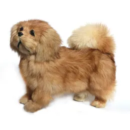 Dorimytrader fofinho likelike animal Pekingese brinquedo de pelúcia recheado macio poodle relistic toy pet decoração do cão presente 20x26 cm DY80009