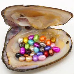 2018最新の楕円形の混合カラーオイスター真珠、カキの30種類の色の真珠、在庫卸売（送料無料）