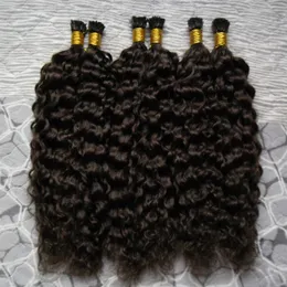 Curly Brazilian 100% Remy Human Fusion Hair Curly Curly Keratin I Dica Cabelo I Dica Pré-ligada Extensão de Cabelo