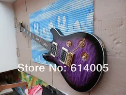 Partihandel - ny stil bästsäljande se Paul Allender Electric Guitar Purple Electric Guitar