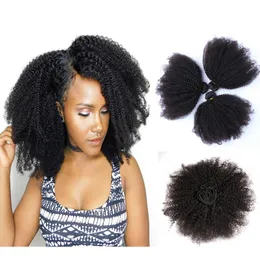 Peruanska Inaiska brasilianska nagelskaftiga hår Remy Human Afro Kinky Curly Hair Extensioon Raw Iasian Hair Dhgate