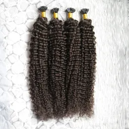 U Tips Pre Bonded Fusion Hair Extensions Curly Brazilian Remy Human Hair On Capsule 200g Strands U Tips 18 "20" 22 "24"