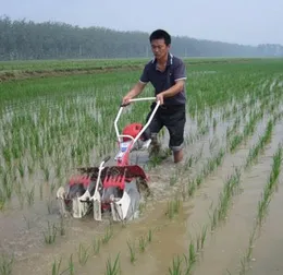 ホット販売農場の機械類2本の雑草の水田雑草機械ミニweederマシンライスフィールド雑草機
