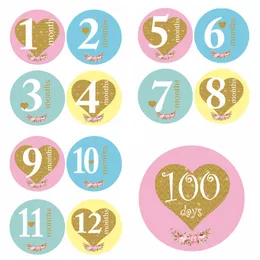13st / lot baby månatliga fotografiska klistermärken 1-12 månad +100 dagar set klistermärken DIY Photo Album Cartoon baby foto rekvisita