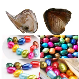 Forma de pílula Forma Pérola Oval Freshwater Shell Pérola Oyster 89mm misturado cores pérola Ostra com vácuo Embalagem de presente extravagante
