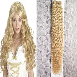 100G Bundles Brasilianische Verworrene Lockige Bundles Menschliches Haar Brasilianische Haarwebart Bundles 613 Bleach Blonde Nicht Remy Haar Verlängerung 1PC