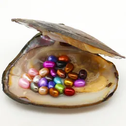 2018 New 25 Mixed Color Elliptical Pearl Oyster 6-8mm Freshwater Natural Cultured Oyster Pearl Spot Wholesale (Free Shipping)