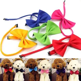 Dog Pet Bowties Genteel Bowknot Handsome Dog Neck Tie Cat Ties Collars Pet Grooming Supplies T2I307