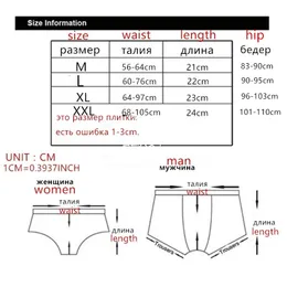 Sexy Ice Silk Seamless Womens Nylon Briefs For Women Low Waist Nylon  Underwear In Plus Sizes M XXL From Zlzol, $23.84