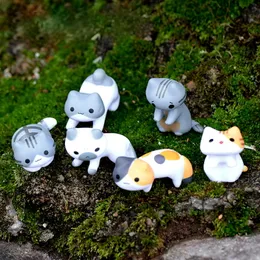 Cute Cat Inne sztuki i rzemiosło Micro krajobraz Dekoracja Żywica Miniaturowa Ornament Wróżka Ogród Microlandschaft Dom Garden Bonsai Decor