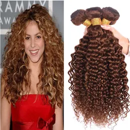 Bruna Human Hair Weaves # 4 Mellan Brown Deep Wave Curly Hair Buntar 3st / Lot Malaysiska Virgin Hair Water Wave Buntar