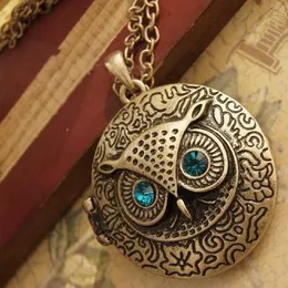 Necklaces Pendant Antique Bronze Blue Eye Owl Locket Retro Long Chains Necklace Pendant