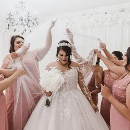 Plus Size Trouwjurken Bruidsjurken Kant Geappliceerd Tule Hofsleep Tuin Trouwjurk vestido de novia311s