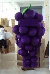 2020 factory sale hot Vegetables Mascot Costumes Complete Outfits Christmas Grape Costume Adult children size