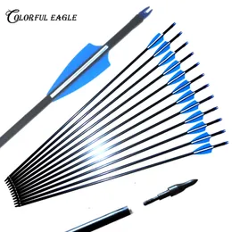 12pcs 31.5inches/30inch/29inch/28inch new fiberglass arrows outdoor for recurve bow / Compund Bow archery hunting with repleable Arrowhead