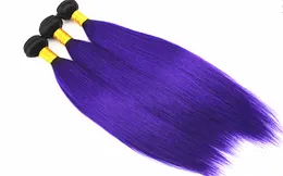 Brazilian Indian Malaysian Straight Purple Human Hair Bundles with Closure 18 inch 4 Bundles with 1 Piece Closure Malaysian Hair