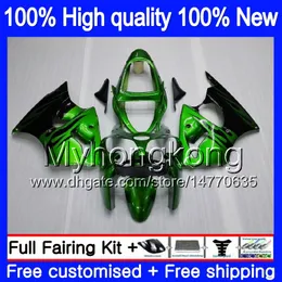 Vücut KAWASAKI ZX 600 CC 6R ZX636 ZX6R 2000 2001 2002 212MY.66 ZX 636 600cc ZX 6R ZX636 ZX600 ZX6R 00 01 02 Yeşil alevler Kalafatlama