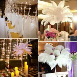 200 pcs Per lot 20-25cm White Ostrich Feather Plume Craft Supplies Wedding Party Table Centerpieces Decoration258U