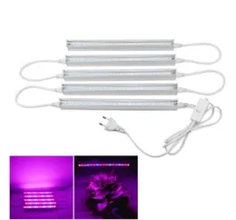 110V 220V Full Spectrum Led Grow Light T5 Tube EU US Plug LED Phyto Lamps Grow LED Lamp Bar Light Hydroponic