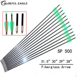 Gratis frakt 31.5 "30" 29 "28" Glasfiber Arrow 12PCs Offset Vane Insert Skruvpunkt Broadhead Jakt Shooting Archery Bow Outdoor