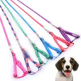 Regulowany Nylon Druk Smycz Pies Z Multi Color Solidne Smycze Pet Supplies Nosić Plack Puppy Helness Pas