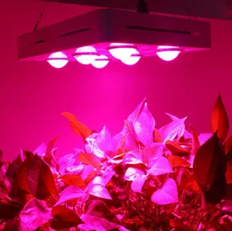 New Arrival 900W Full Spectrum COB LED Plant Grow Light Hydroponic Greenhouse Indoor Plants Seeding Grow Flower Lamp
