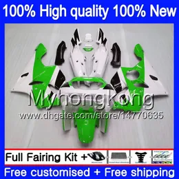 바디 KAWASAKI ZX 636 600cc의 ZX636 1,994 1,995 1,996 1,997 213MY.18 그린 화이트 ZX636 ZX6R ZX600 ZX 6 R 6R ZX6R 94 95 96 97 바람막이