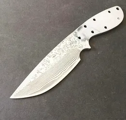 Promotion DIY VG10 Damascus Steel Blade Drop Point Knifes 'Blad Full Tang Rostfritt Stål Handtag H2100