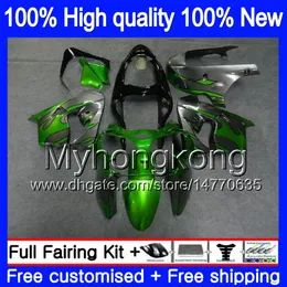 Kropp för Kawasaki ZX900 ZX9 R ZX 9R 1998 1999 2000 2001 grå flammor 220MY.52 900cc ZX 9 R 900 ZX-9R 98-99 ZX9R 98 99 00 01 ABS FAIRING